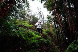 BIB: 
                            <button type="button" onclick="openModal(26205021)" class="btn btn-primary btn-sm float-right btn-popup" data-toggle="modal" data-target=".modal-high-quality">
                        <i class="fas fa-shopping-cart"></i> Add to Cart
                    </button>
                                            <button type="button" onclick="isThisMe(26205021, true)" class="btn btn-success btn-sm float-right btn-popup btn-isme hidden" data-toggle="tooltip" data-placement="bottom" title="นี่คือรูปของคุณใช่ไหม คลิกที่นี่เพื่อเอาเข้าอัลบั้ม">
                        <i class="fas fa-plus"></i> Add to album
                    </button>
                    <button type="button" onclick="isThisMe(26205021, false)" class="btn btn-warning btn-sm float-right btn-popup btn-isnotme hidden">
                        <i class="fas fa-ban"></i> Remove from album
                    </button>